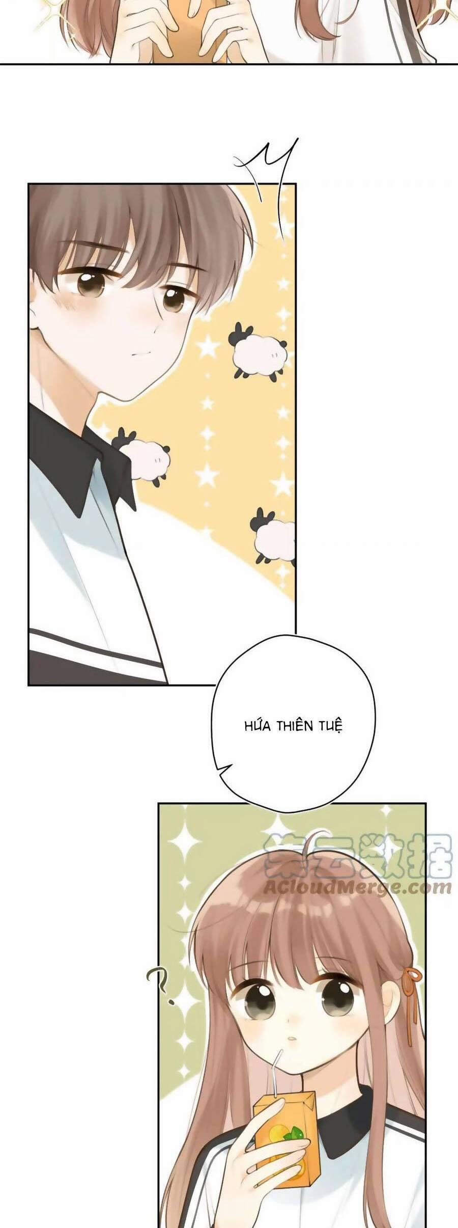 Tình Yêu Duy Nhất Của Tôi 43 trang 8