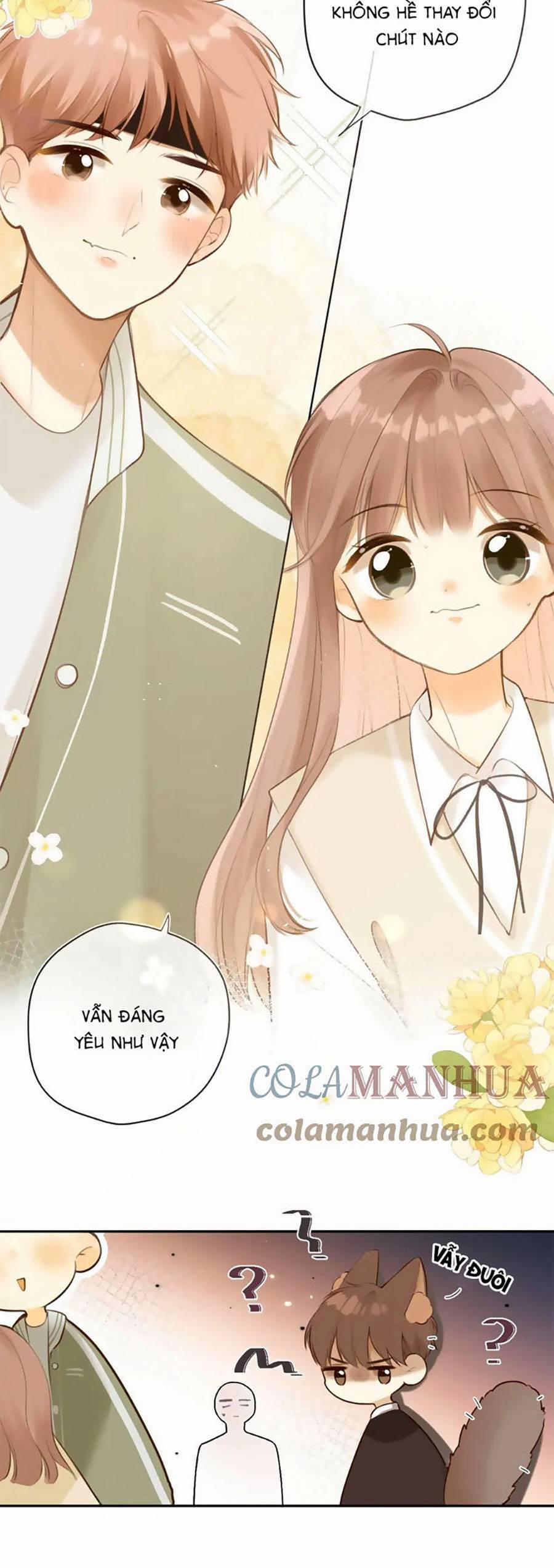 Tình Yêu Duy Nhất Của Tôi 44 trang 18