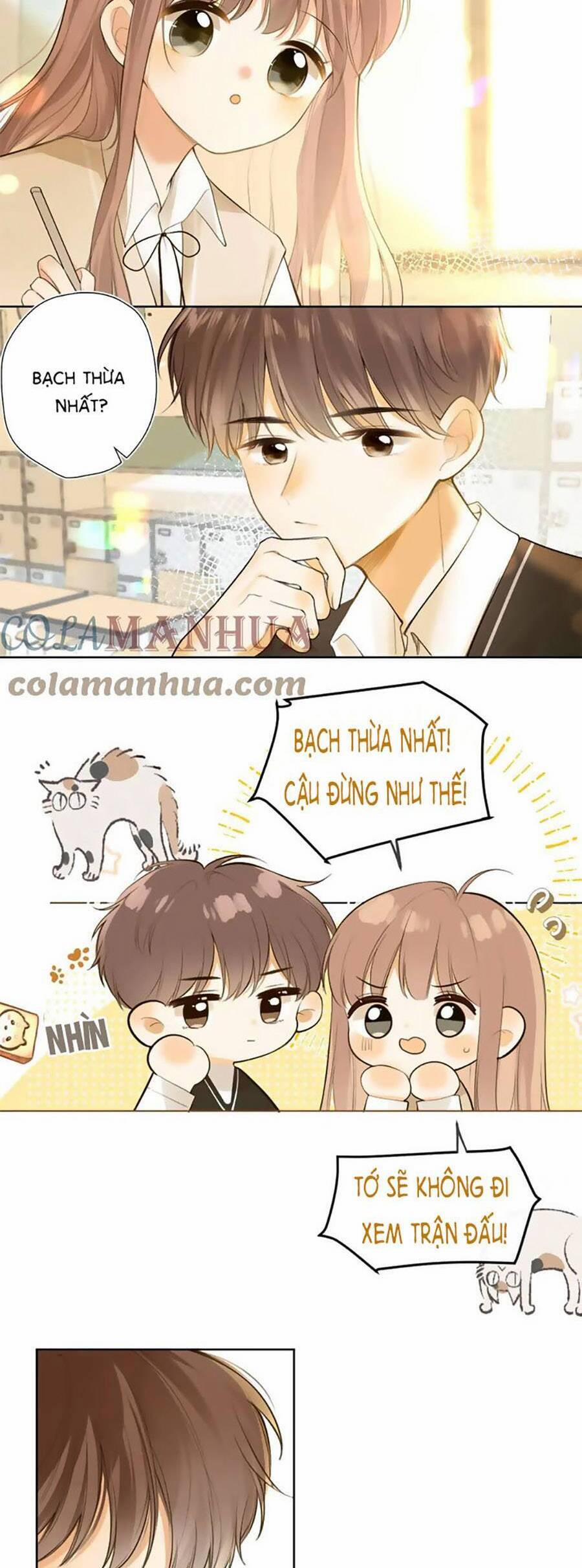 Tình Yêu Duy Nhất Của Tôi 45 trang 15