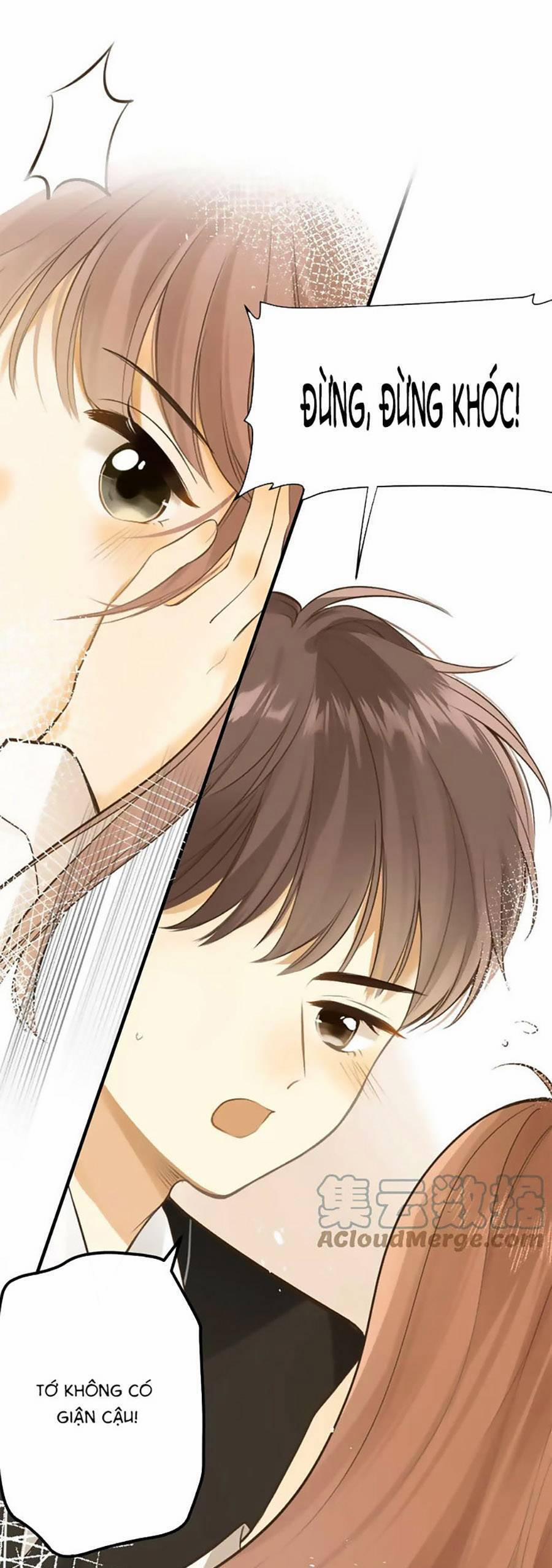 Tình Yêu Duy Nhất Của Tôi 46 trang 14