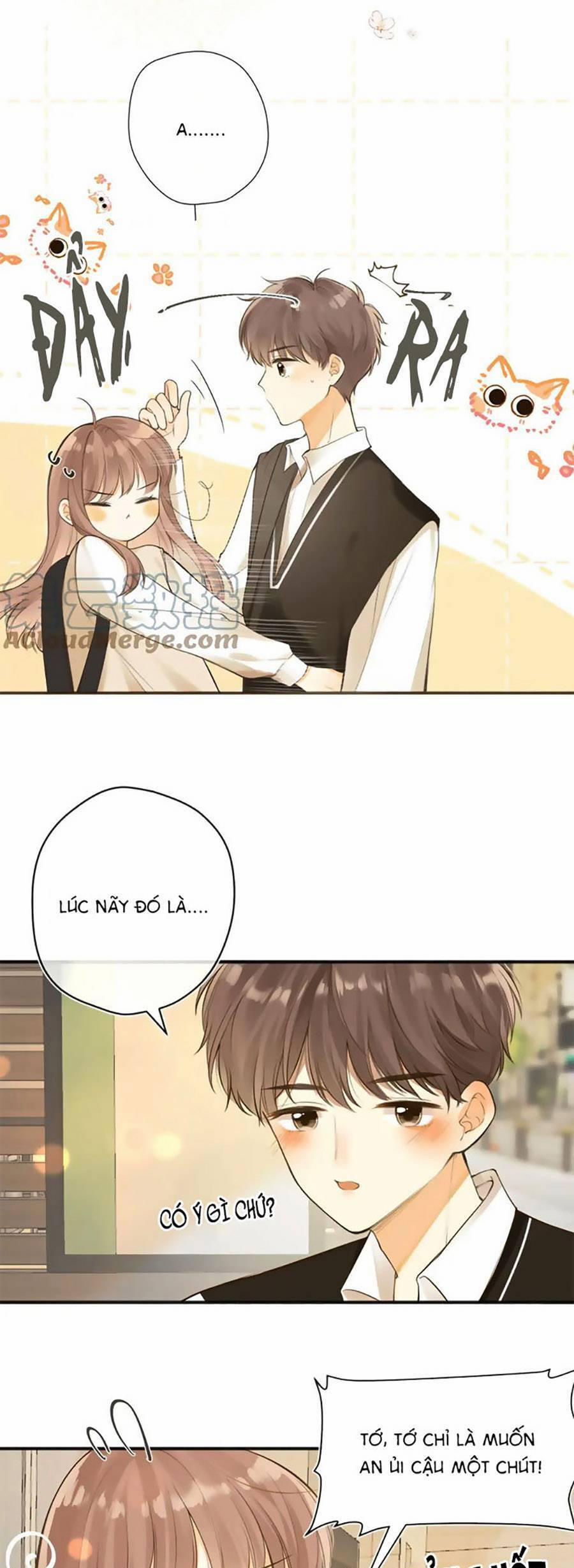 Tình Yêu Duy Nhất Của Tôi 46 trang 21