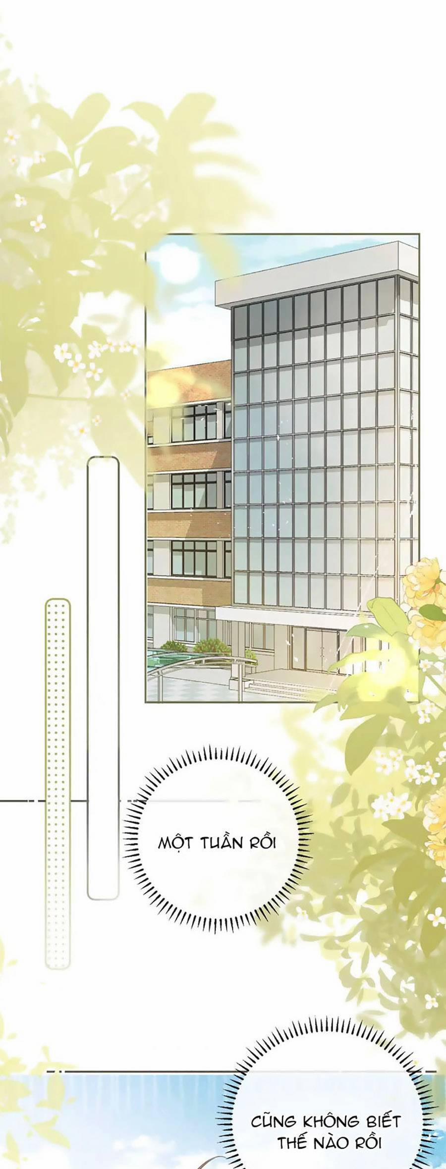 Tình Yêu Duy Nhất Của Tôi 48 trang 37