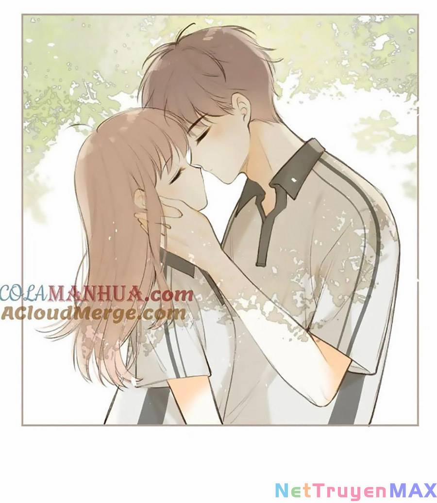 Tình Yêu Duy Nhất Của Tôi 50 trang 0