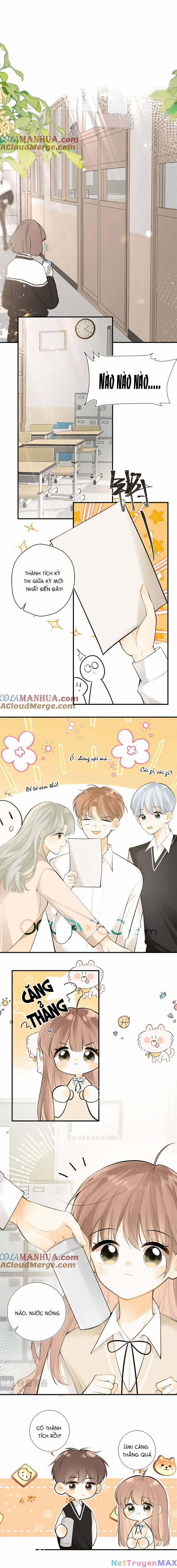 Tình Yêu Duy Nhất Của Tôi 50 trang 1