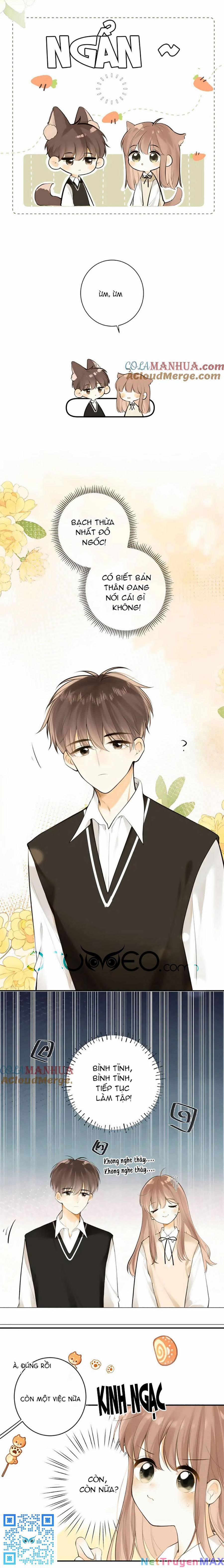 Tình Yêu Duy Nhất Của Tôi 50 trang 10