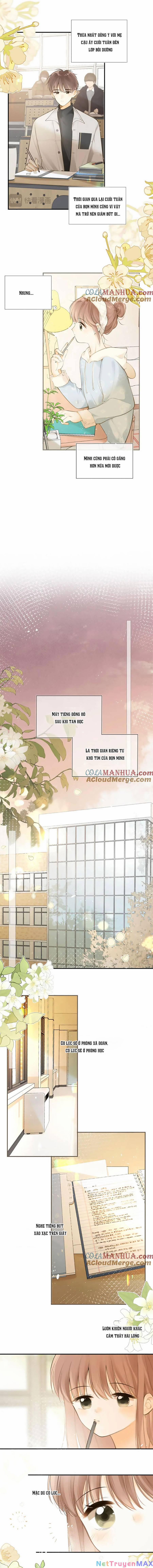 Tình Yêu Duy Nhất Của Tôi 50 trang 6