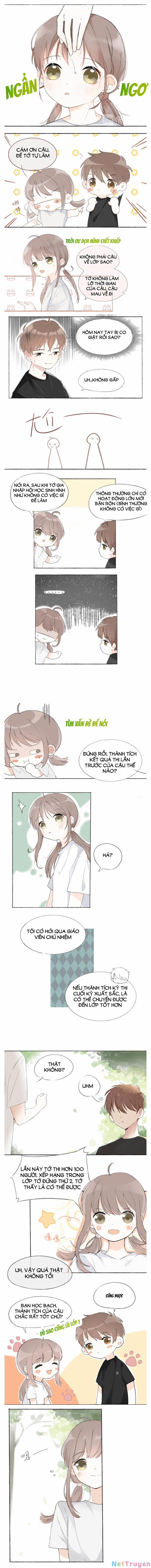 Tình Yêu Duy Nhất Của Tôi 6 trang 1