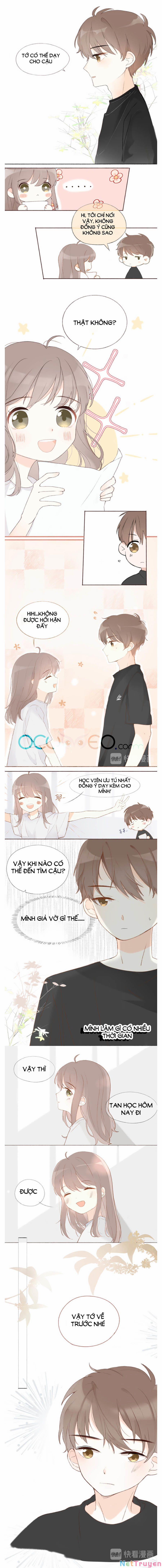 Tình Yêu Duy Nhất Của Tôi 6 trang 3