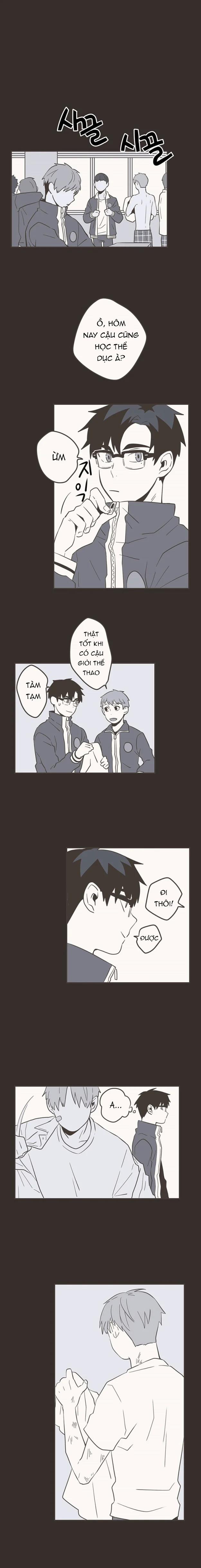 Tình Yêu Gà Bông 16 trang 1