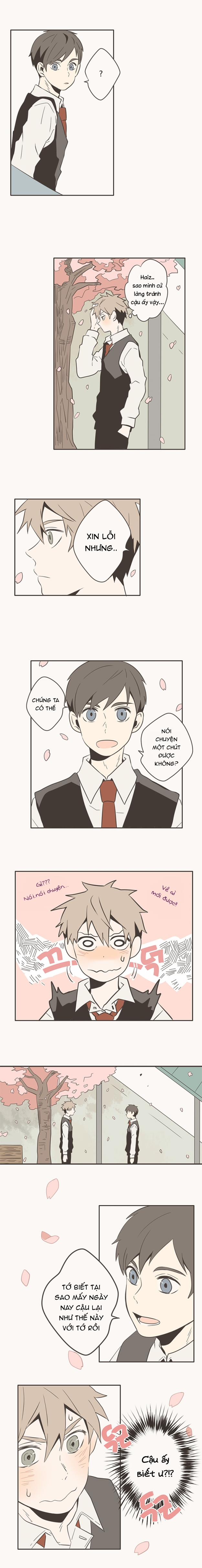 Tình Yêu Gà Bông 5 trang 5