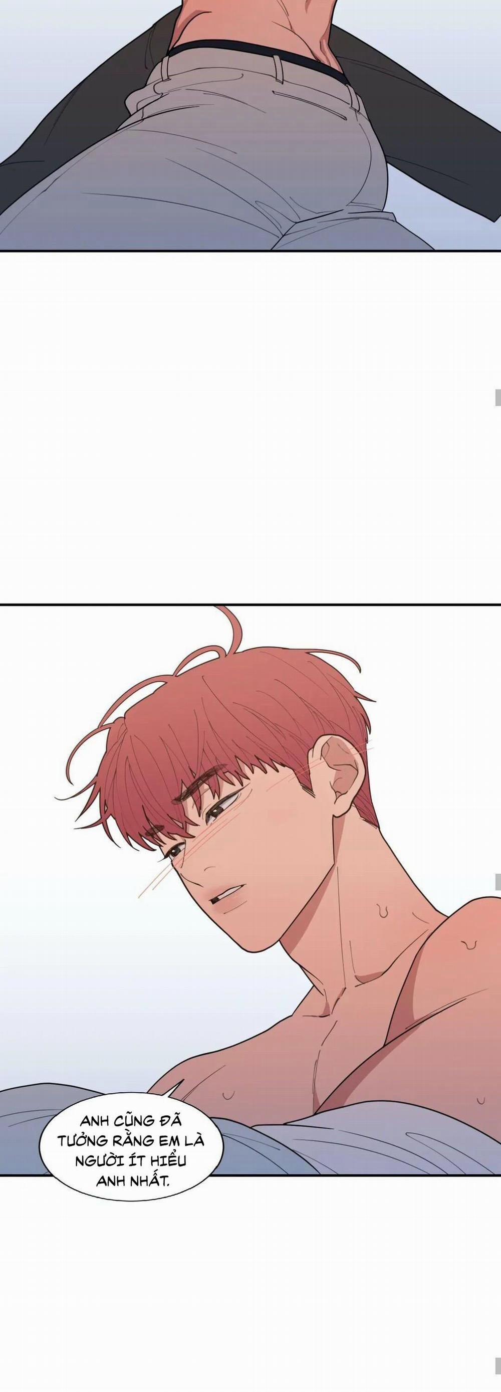 Tình Yêu Hay Thù Hận 102 trang 20