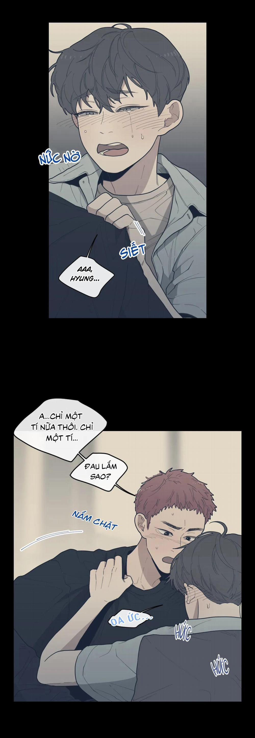 Tình Yêu Hay Thù Hận 26 trang 29