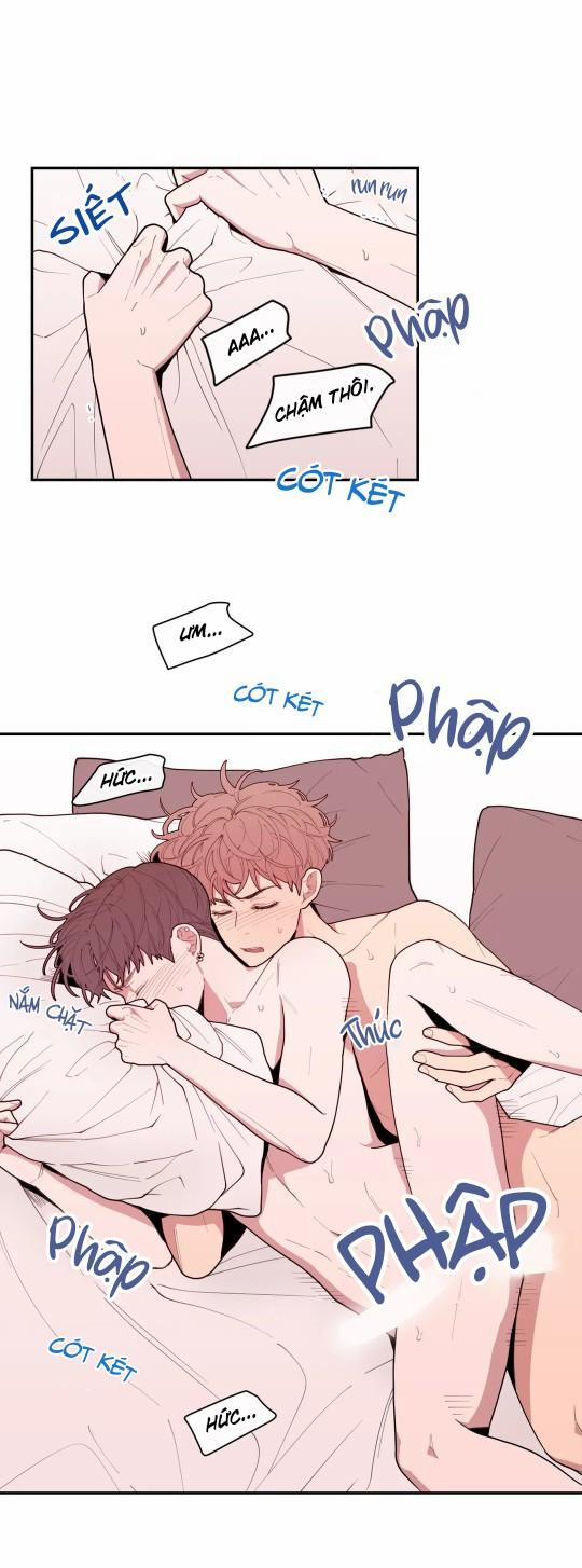 Tình Yêu Hay Thù Hận 27 trang 6