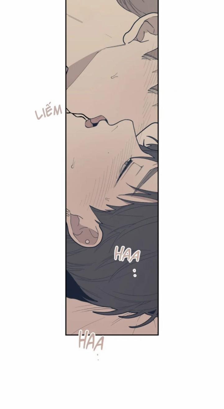 Tình Yêu Hay Thù Hận 28 trang 17