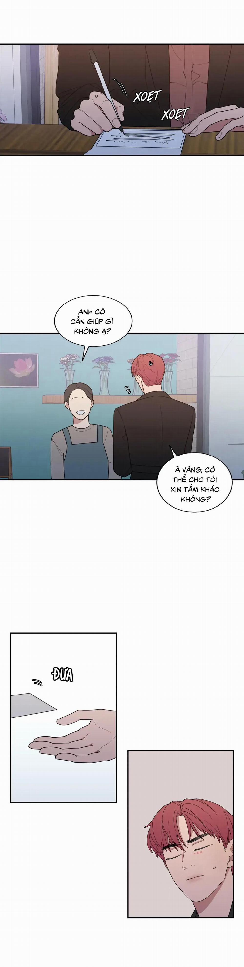 Tình Yêu Hay Thù Hận 95 trang 0