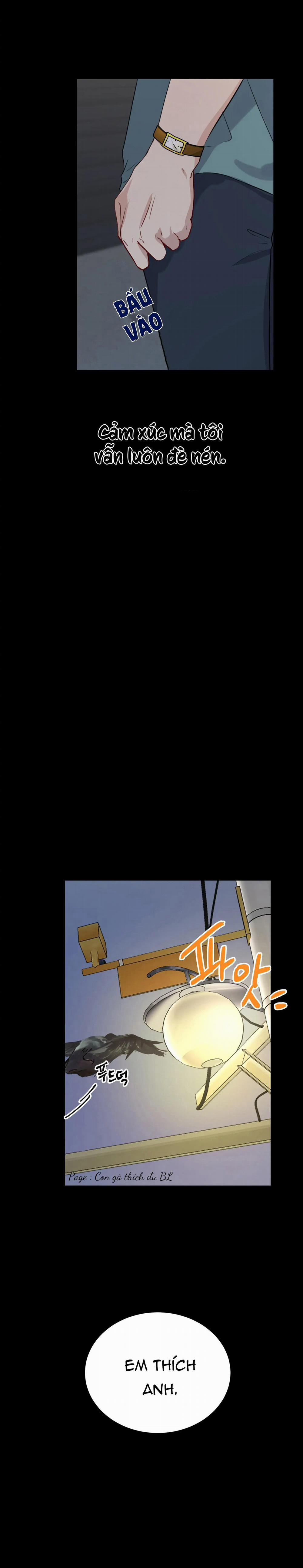 Tình Yêu Hiếm Có 2 trang 11