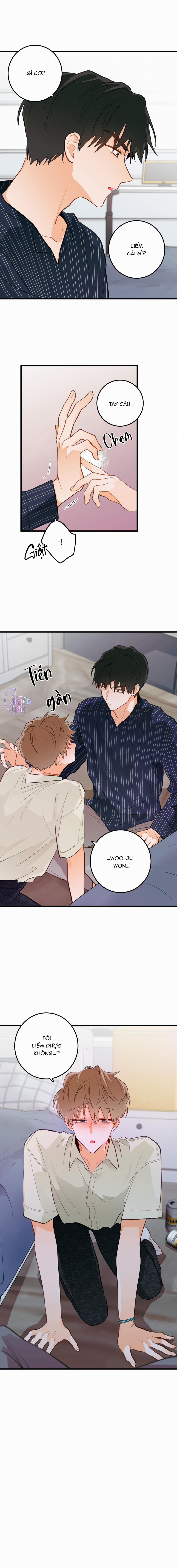 Tình Yêu Hoa Lê Nở 6 trang 7