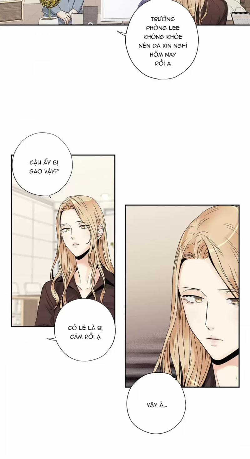 Tình Yêu Là Ảo Ảnh! The Queen 10 trang 37