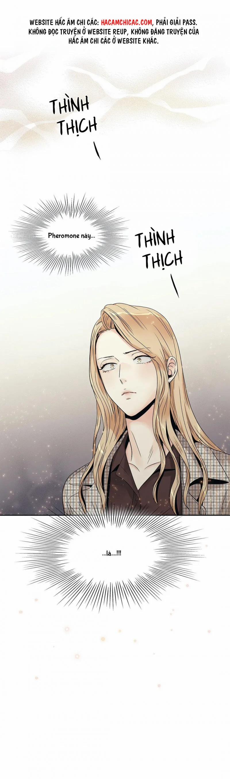 Tình Yêu Là Ảo Ảnh! The Queen 11 trang 1