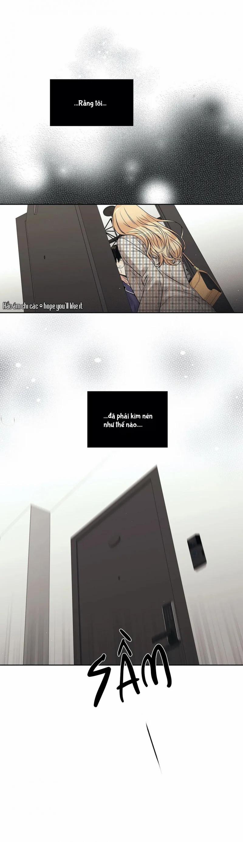 Tình Yêu Là Ảo Ảnh! The Queen 11 trang 6