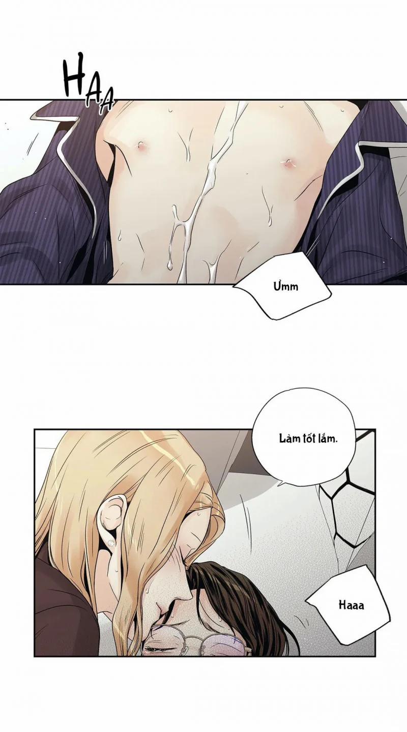 Tình Yêu Là Ảo Ảnh! The Queen 12 trang 8