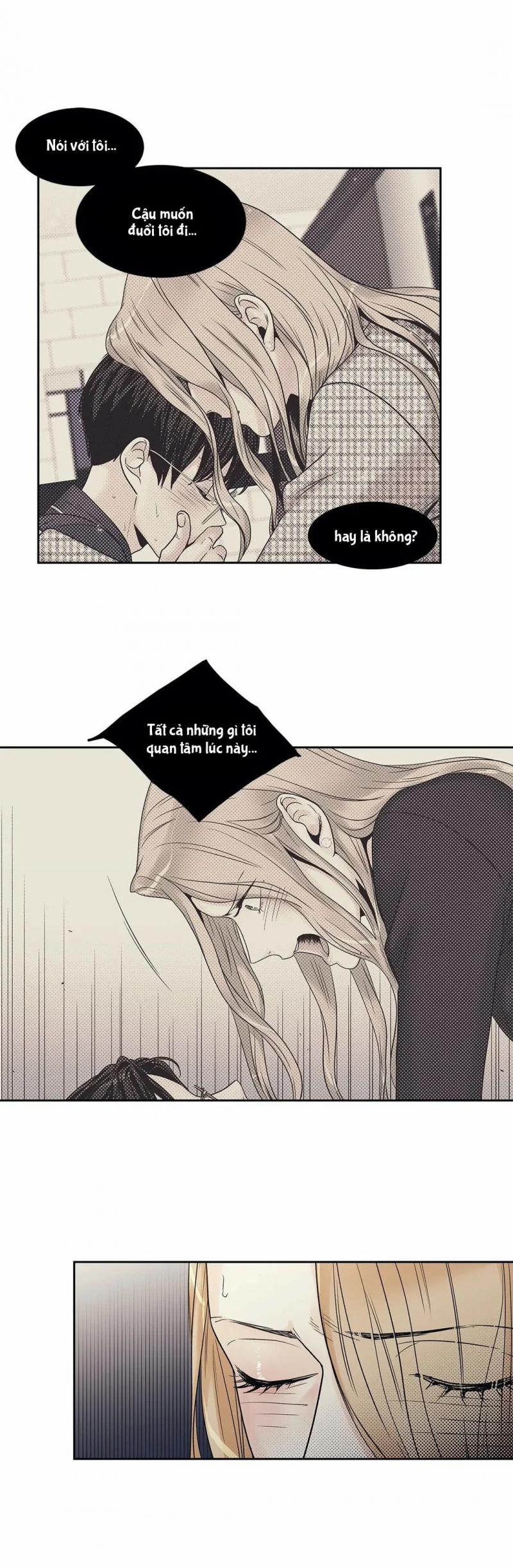 Tình Yêu Là Ảo Ảnh! The Queen 13 trang 11