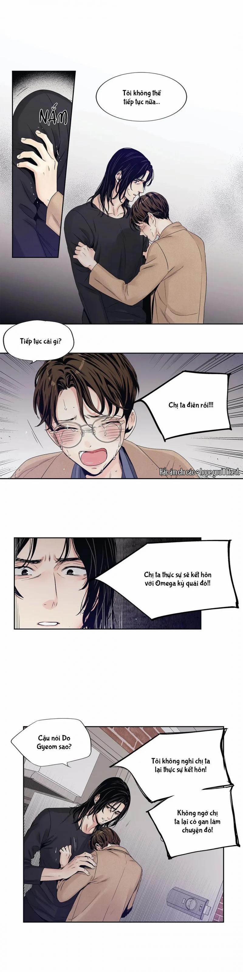 Tình Yêu Là Ảo Ảnh! The Queen 14 trang 17