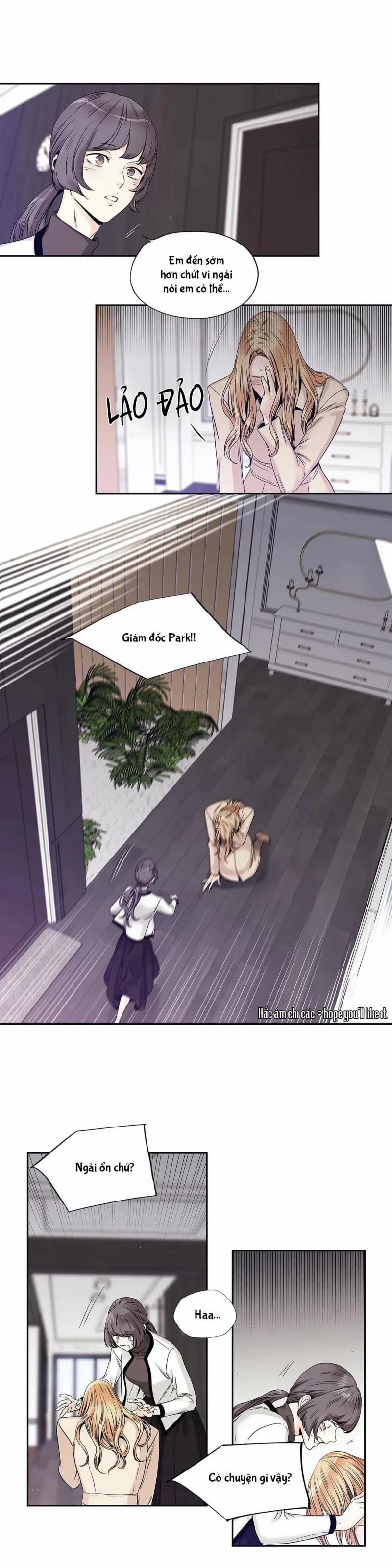 Tình Yêu Là Ảo Ảnh! The Queen 18 trang 3