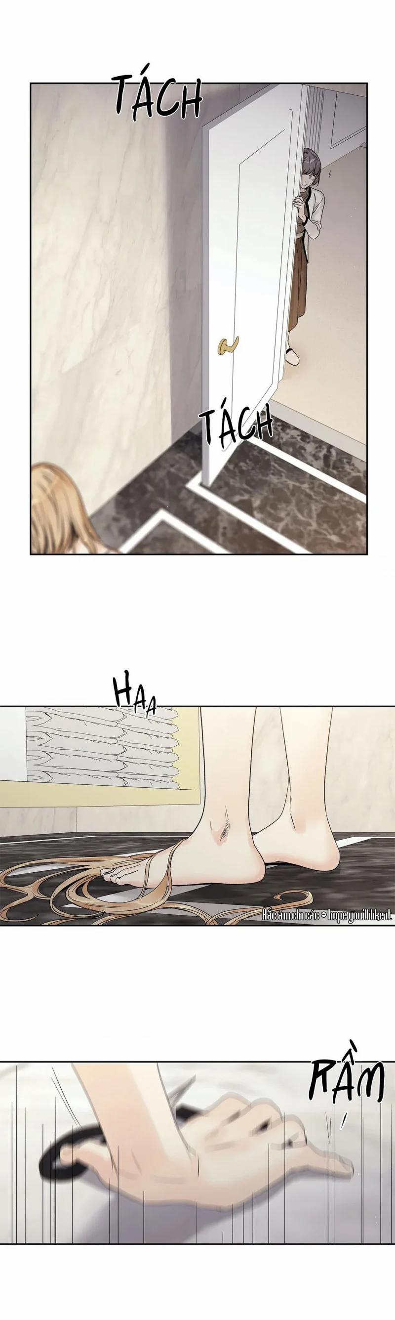 Tình Yêu Là Ảo Ảnh! The Queen 19 trang 0