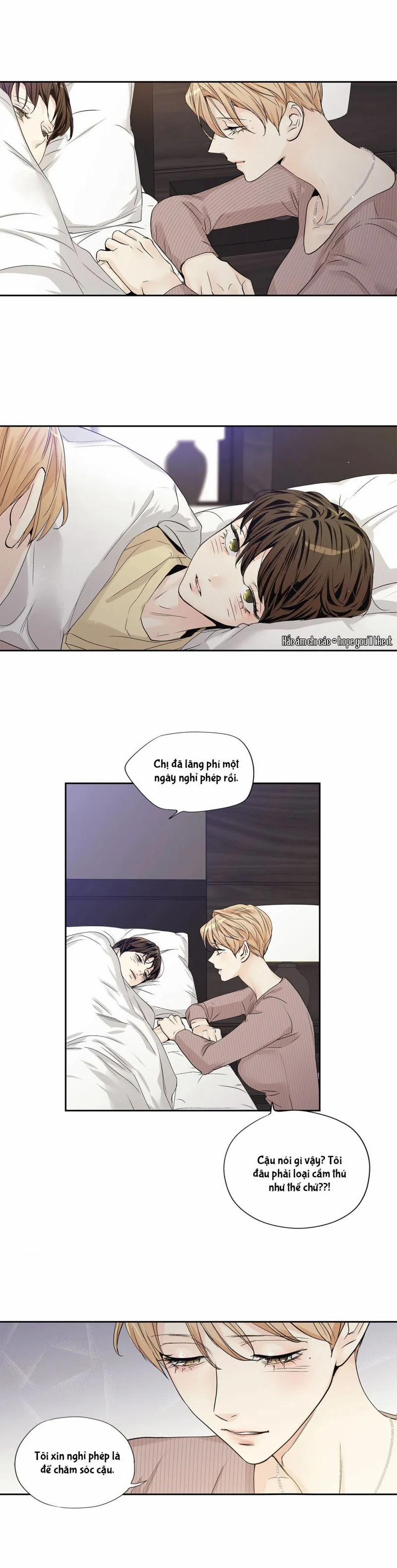 Tình Yêu Là Ảo Ảnh! The Queen 29 trang 20