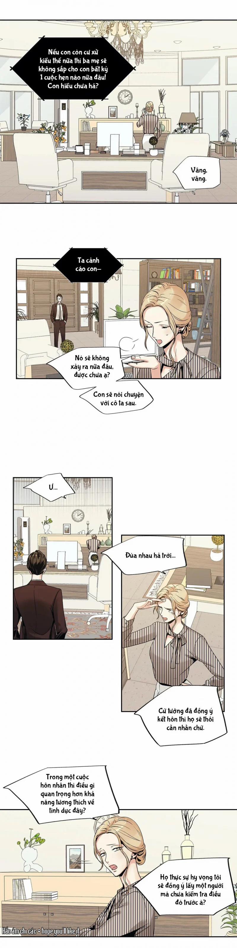 Tình Yêu Là Ảo Ảnh! The Queen 3 trang 5