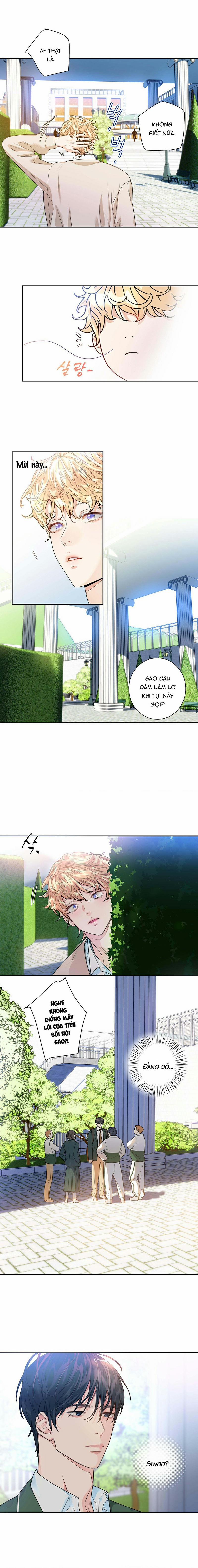 Tình Yêu Là Ảo Ảnh 2 trang 11