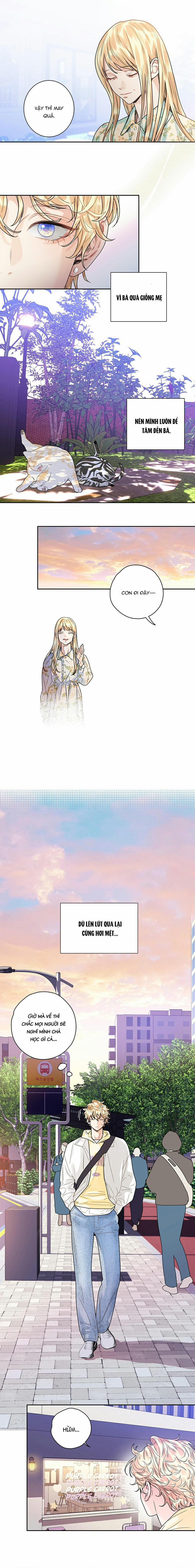 Tình Yêu Là Ảo Ảnh 4 trang 10