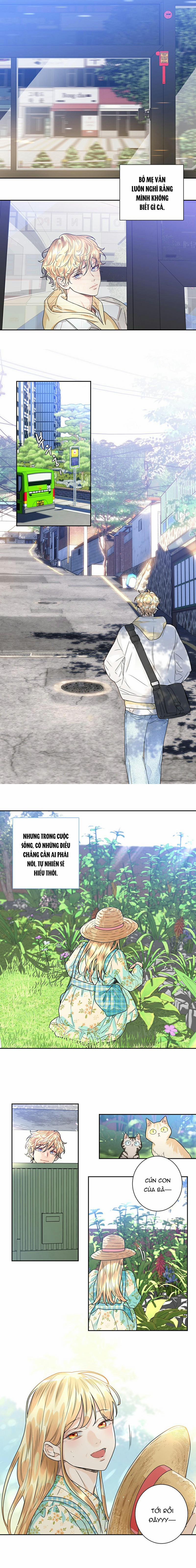 Tình Yêu Là Ảo Ảnh 4 trang 6