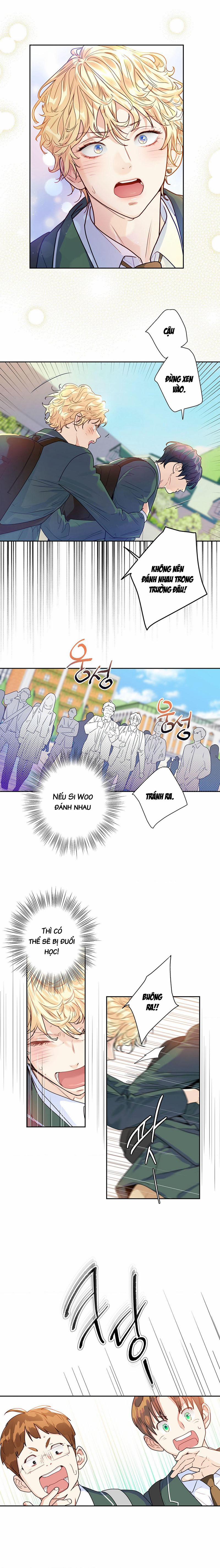 Tình Yêu Là Ảo Ảnh 9 trang 5