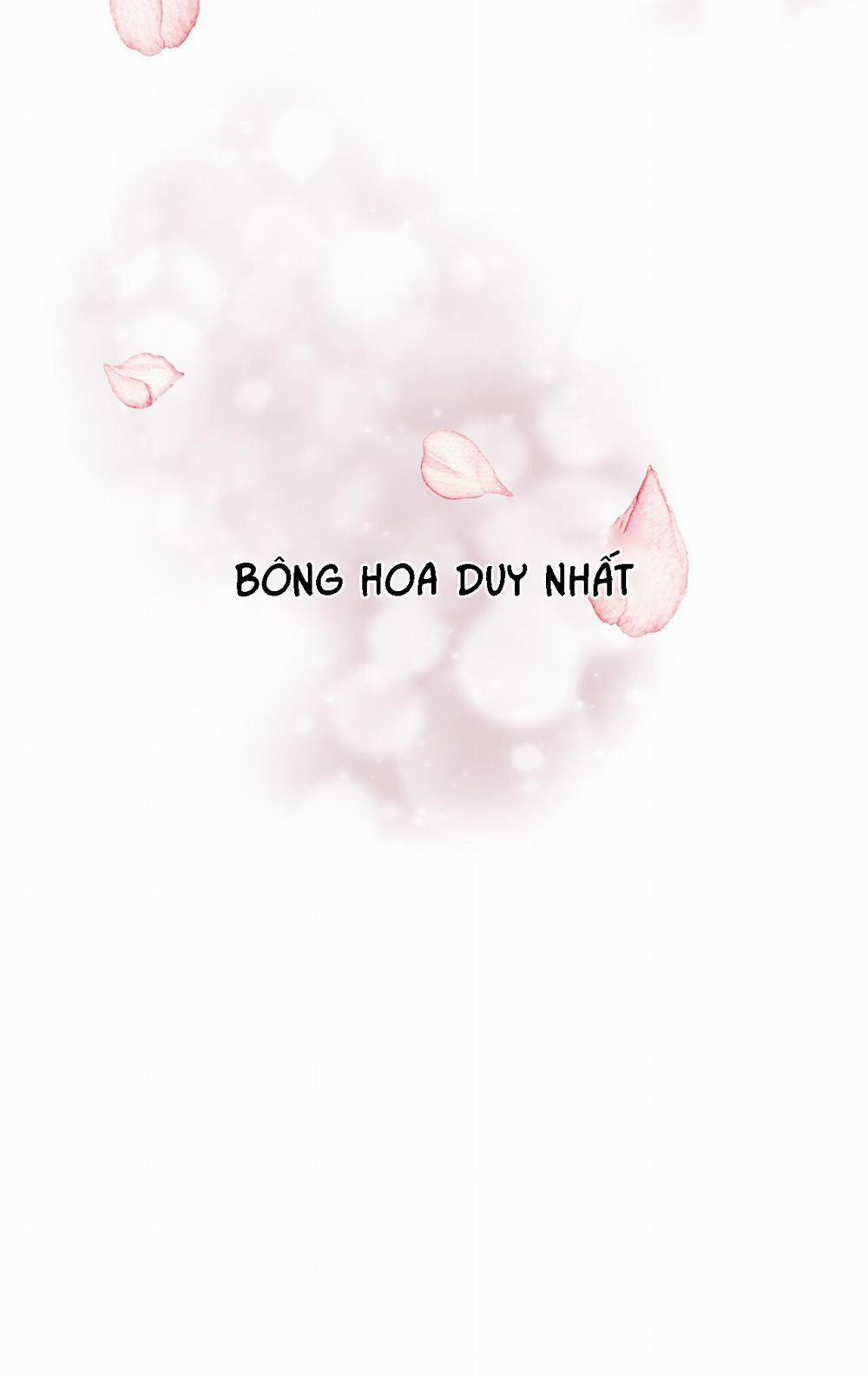 TÌNH YÊU LẠC LỐI 1 trang 82