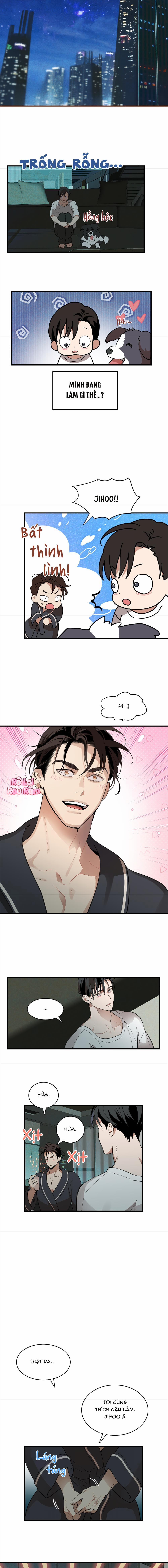 TÌNH YÊU LÔNG XÙ 3 trang 9