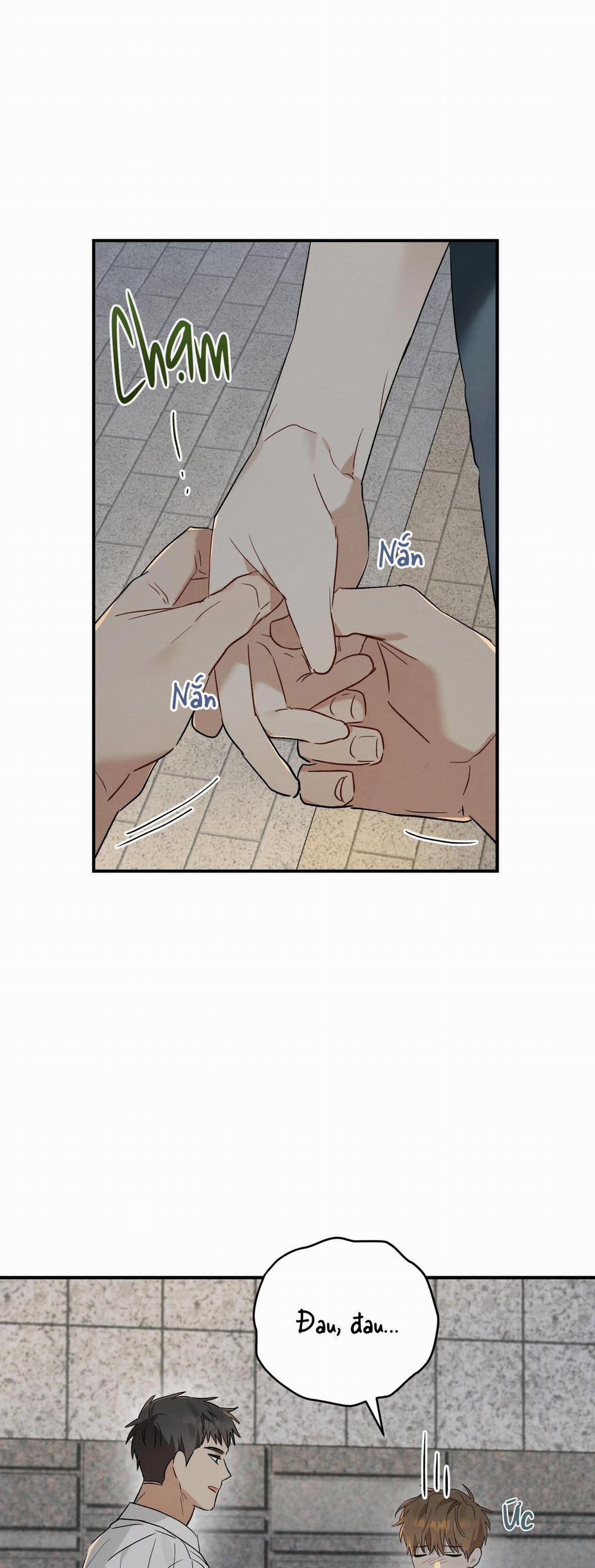 TÌNH YÊU MẬN NGỌT 11 trang 40