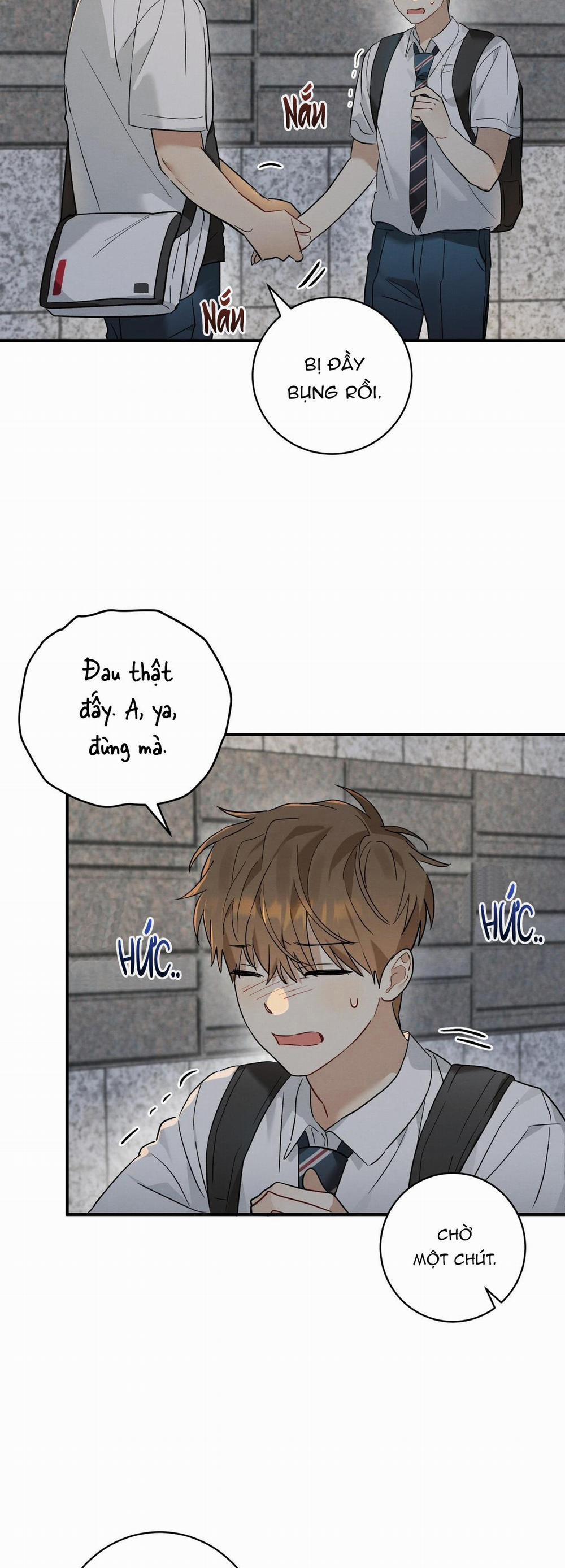 TÌNH YÊU MẬN NGỌT 11 trang 41