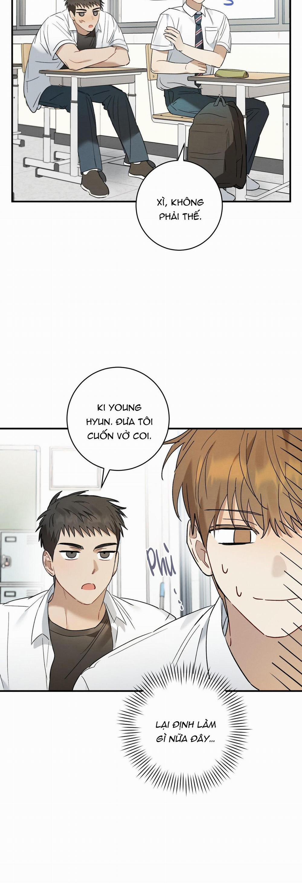 TÌNH YÊU MẬN NGỌT 14 trang 33