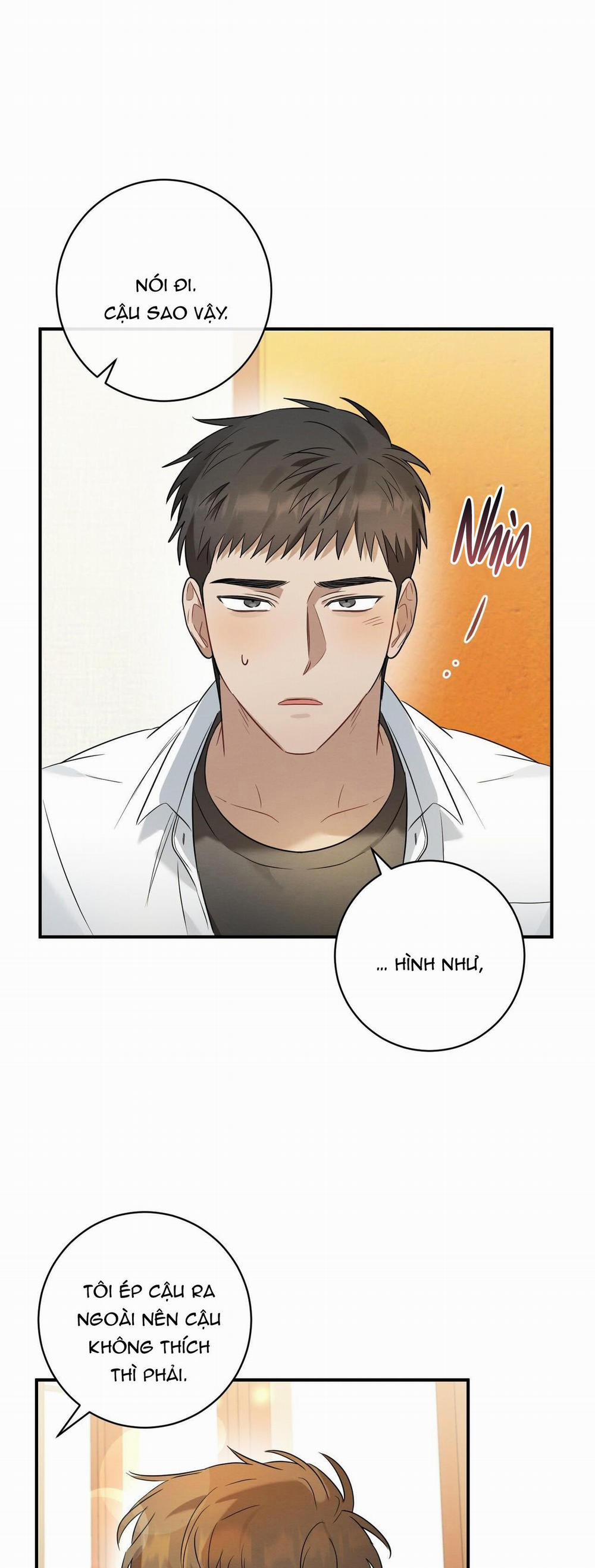 TÌNH YÊU MẬN NGỌT 15 trang 10