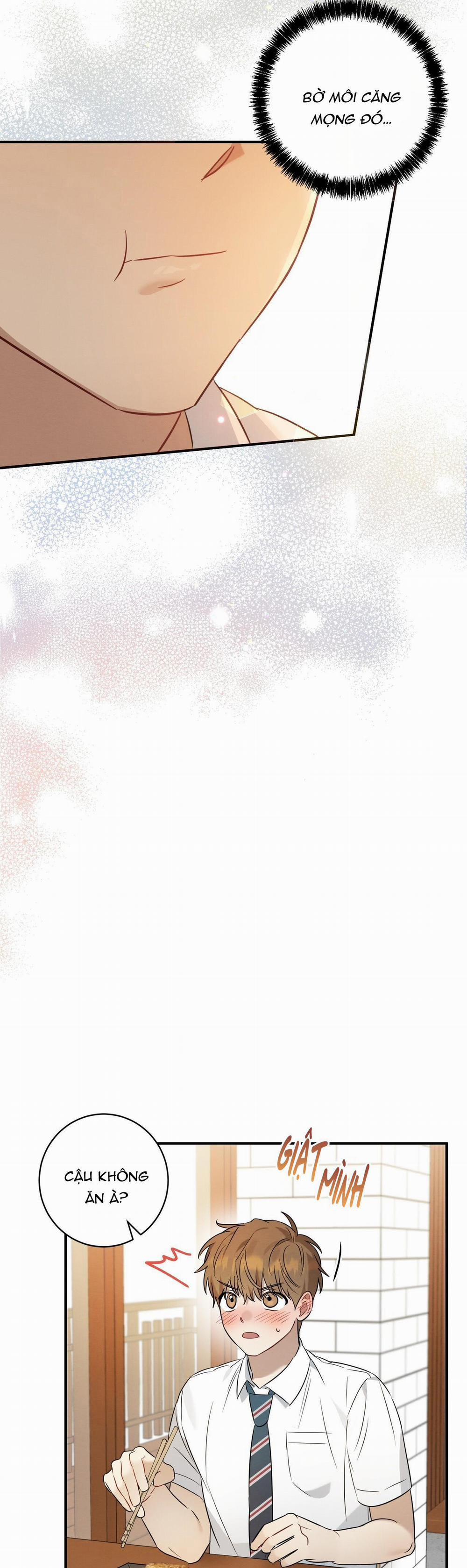 TÌNH YÊU MẬN NGỌT 15 trang 6