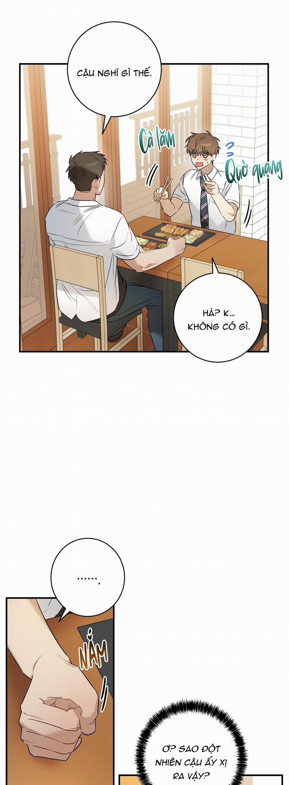 TÌNH YÊU MẬN NGỌT 15 trang 8