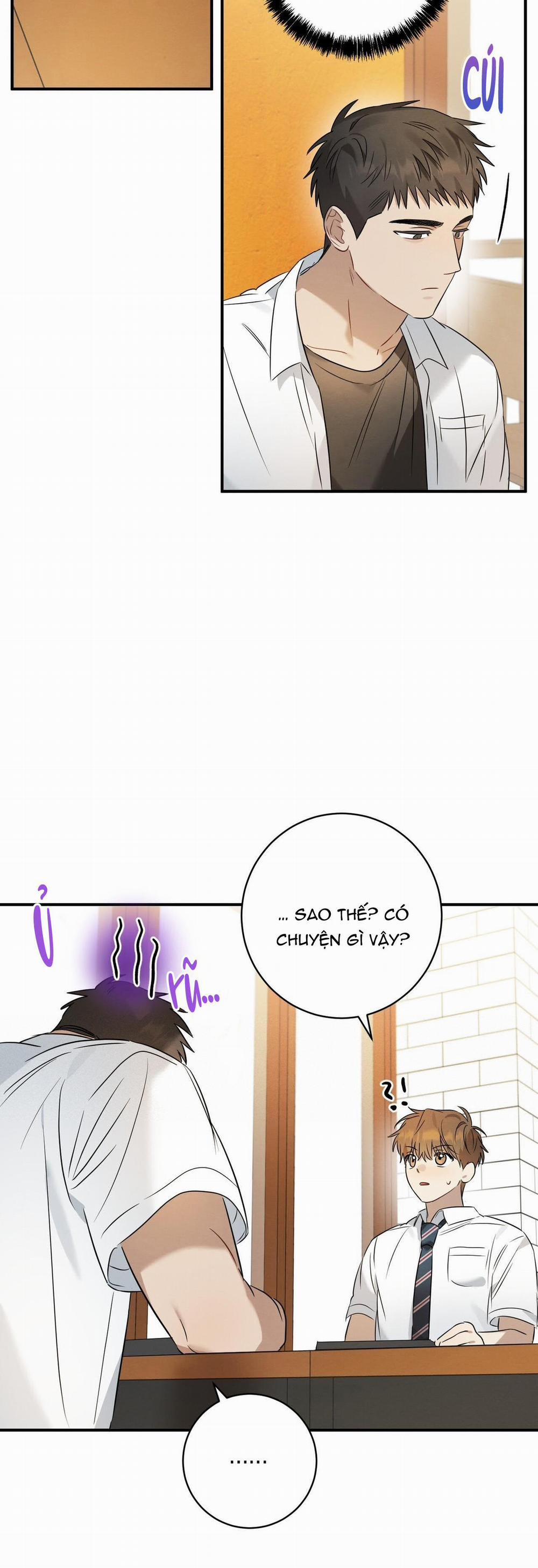 TÌNH YÊU MẬN NGỌT 15 trang 9