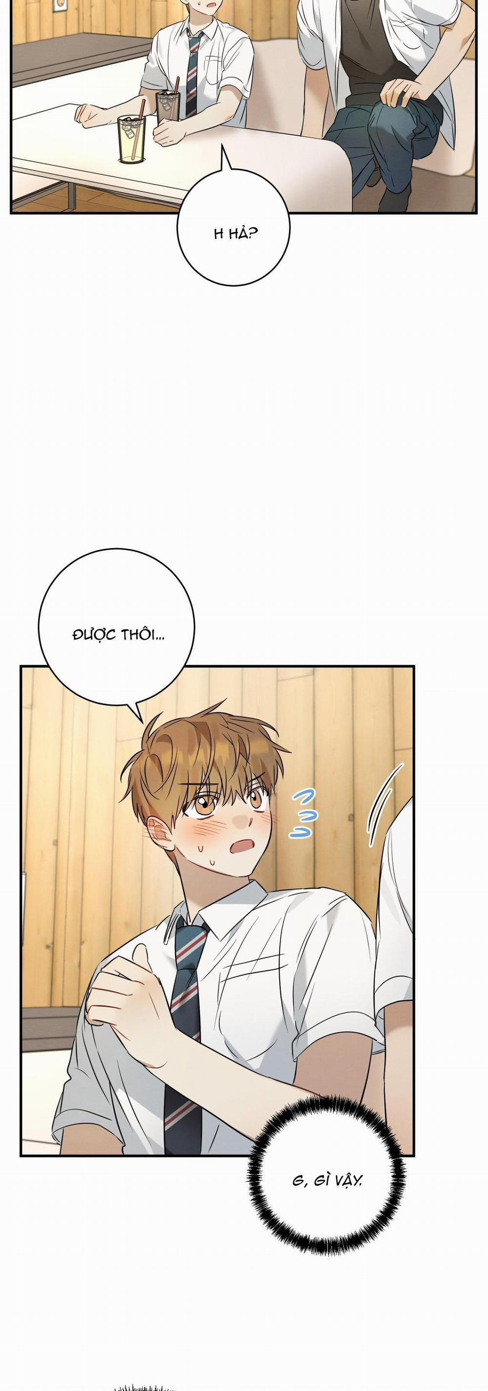 TÌNH YÊU MẬN NGỌT 16 trang 12