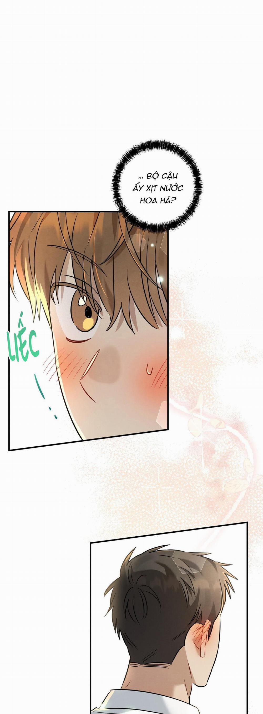 TÌNH YÊU MẬN NGỌT 16 trang 14