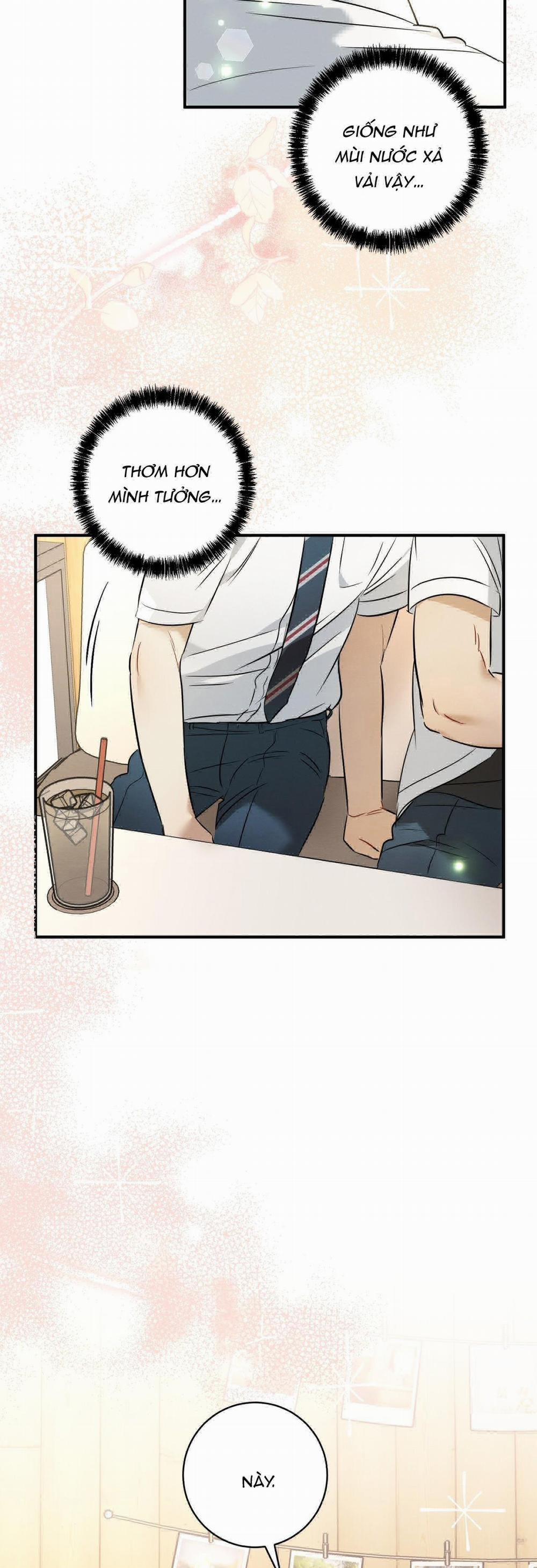 TÌNH YÊU MẬN NGỌT 16 trang 15