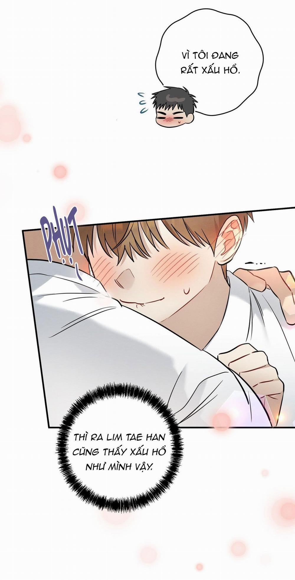 TÌNH YÊU MẬN NGỌT 19 trang 11