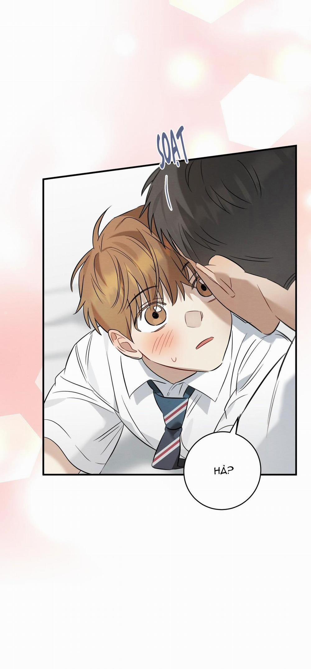 TÌNH YÊU MẬN NGỌT 19 trang 31