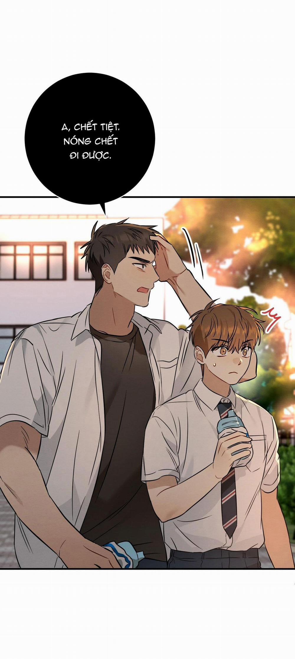 TÌNH YÊU MẬN NGỌT 21 trang 57